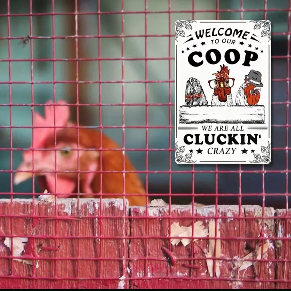 Funny Chicken Sign - Picture 4 of 7